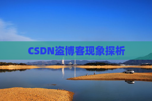CSDN盗博客现象探析